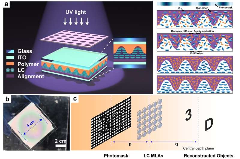 Optically anisotropic, electrically tunable microlens arrays formed via single-step photopolymerization-induced phase separation in polymer/liquid-crystal composite materials