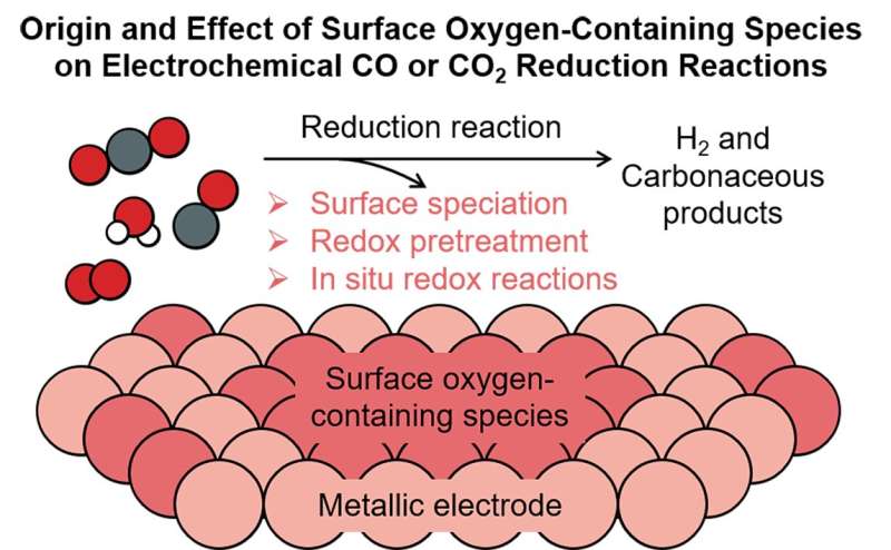 Origin and effect of surface oxygen-containing species on electrochemical CO or CO2 reduction reactions
