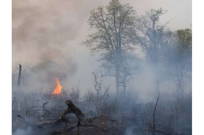 Our planet is burning in unexpected ways—here's how we can protect people and nature
