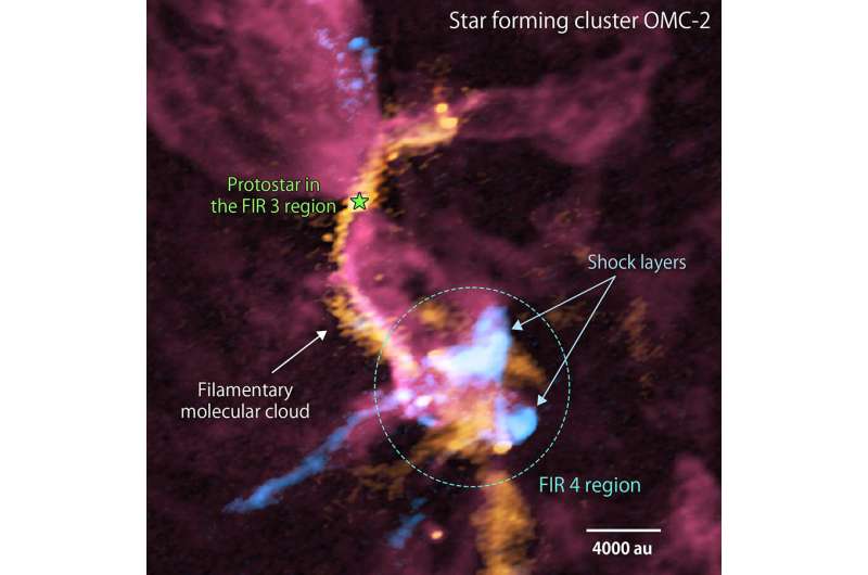 Outflows from Baby Star Affect Nearby Star Formation