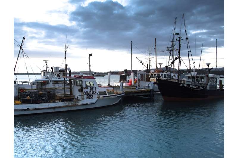 Overfishing and climate change impacts on New Zealand's fish populations were hidden - until now