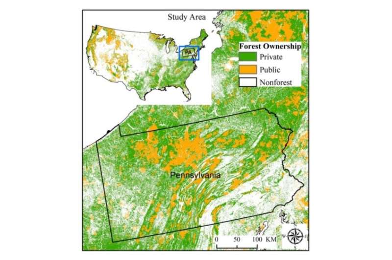 Pa. private forest landowners want to use controlled fire to manage their woods