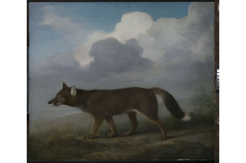 Painting the unfamiliar: why the first European paintings of Australian animals look so alien to our eyes