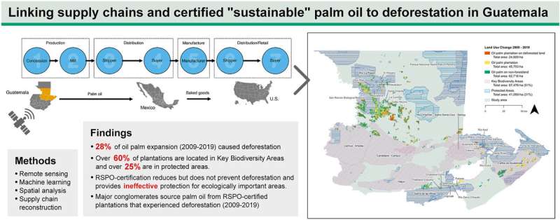 Palm oil plantations and deforestation in Guatemala: Certifying products as 'sustainable' is no panacea