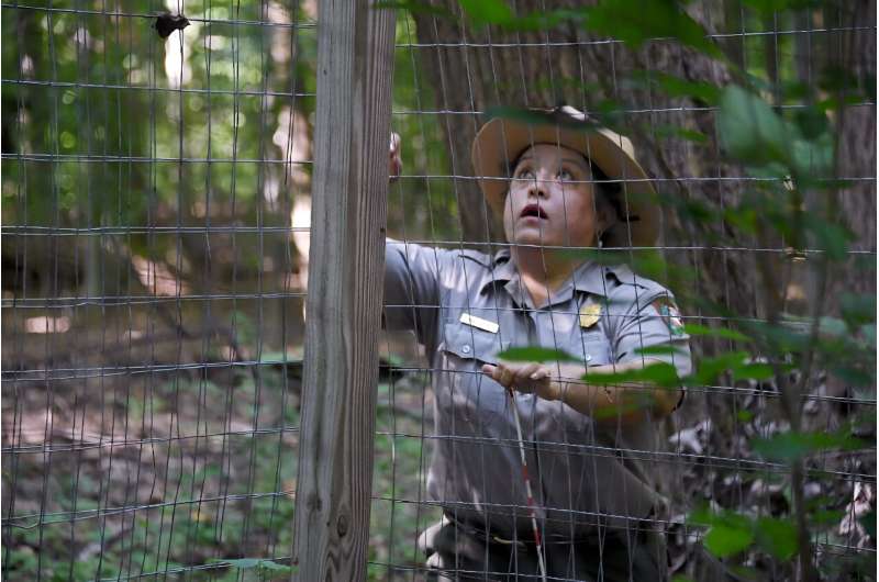 Park botanist Ana Chuquin adjusts the gate of a small plot fenced to keep deer out as part of a long-term experiment in Washingt