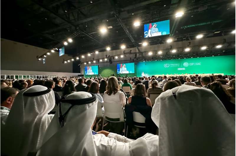 Participants attend a COP28 a plenary session at the United Nations climate summit in Dubai on Wednesday
