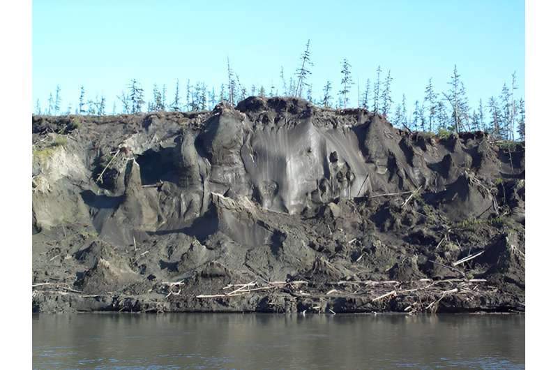 Past warm period reveals limited near-surface permafrost extent
