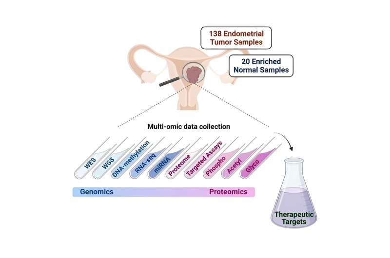 Path-breaking research reveals new possibilities to improve treatment of endometrial carcinoma