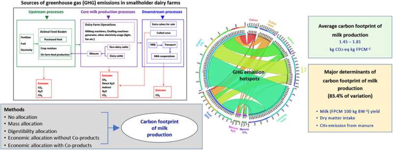 Pathways for enhancing sustainability and resilience in India's critical small dairy operations