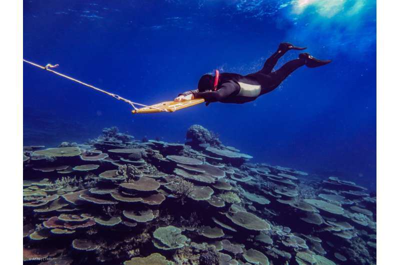 Pause in recent coral recovery on much of Great Barrier Reef