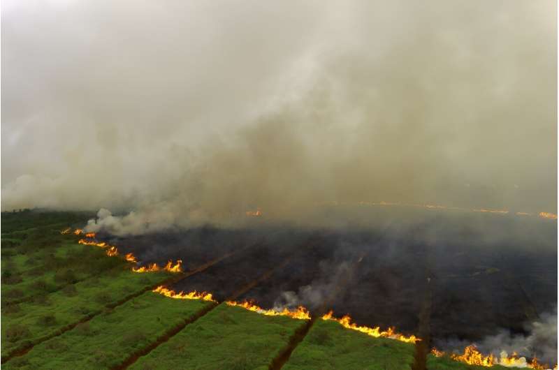 Peatland fires have spread through Ogan Ilir, South Sumatra, which neighbours Jambi province