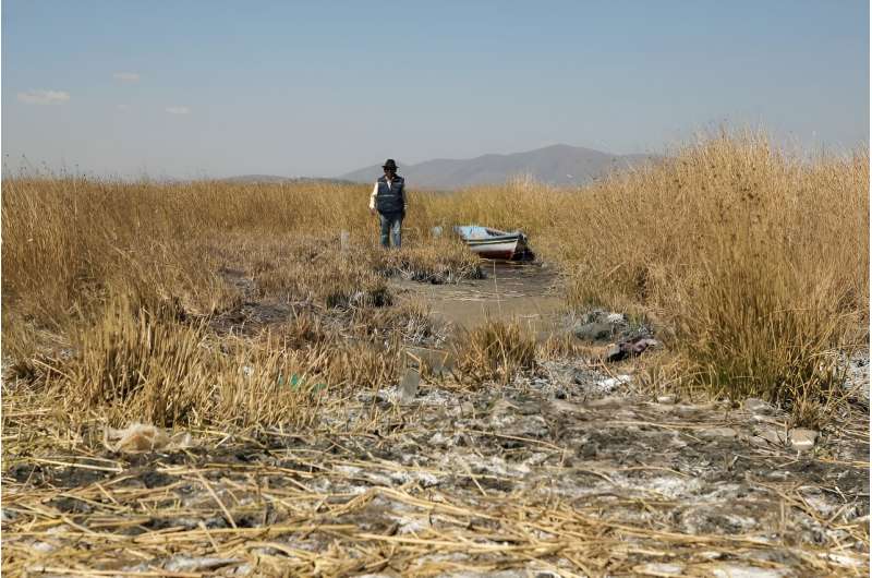 Pedro de la Cruz walks in a bone-dry area that was once part of Lake Titicaca