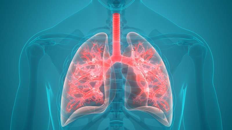 Pembrolizumab + standard chemotherapy beneficial in mesothelioma