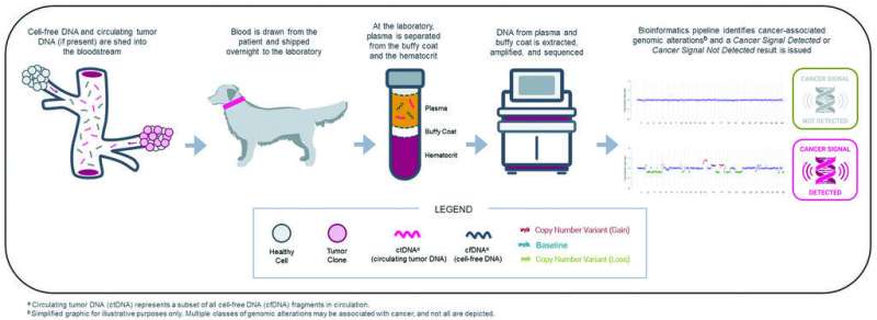 Performance of OncoK9 in real-world veterinary practice mirrors clinical validation study
