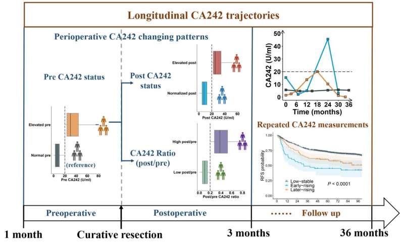 Perioperative changing patterns and longitudinal trajectories of CA242 with colorectal cancer prognosis: A retrospective longitudinal cohort study