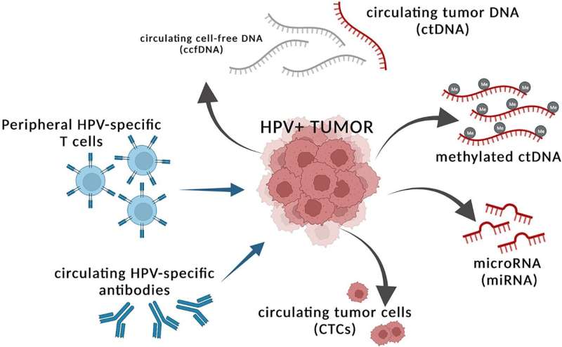 Peripheral surrogates of tumor burden to guide therapeutic strategies for HPV-associated malignancies
