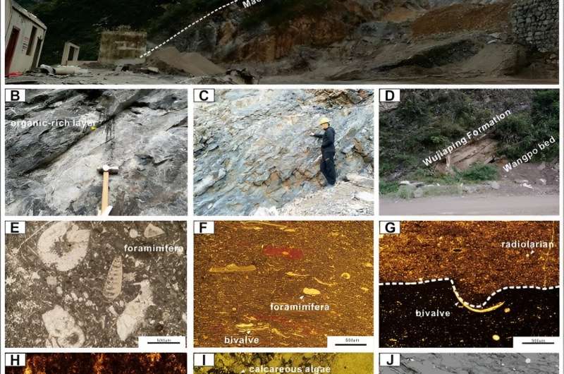 Permian marine mass extinction linked to volcanism-induced anoxia