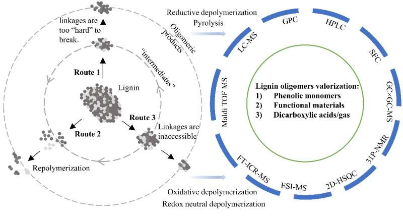 Perspective on oligomeric products from lignin depolymerization: their generation, identification, and further valorization