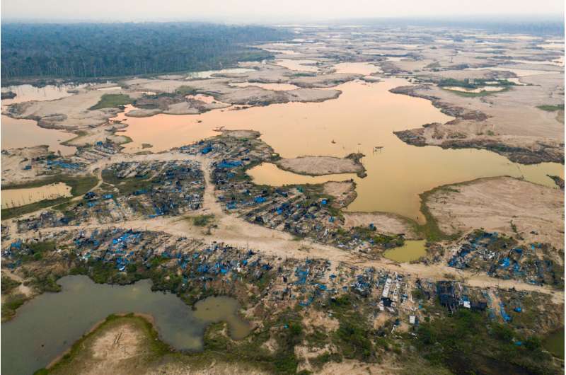 Peru's Operation Mercury stopped most illegal gold mining in one biodiversity hotspot in the Amazon. Then the COVID-19 pandemic hit.