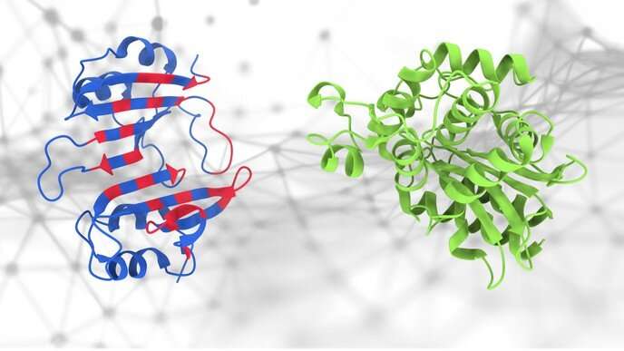 PeSTo: a new AI tool for predicting protein interactions