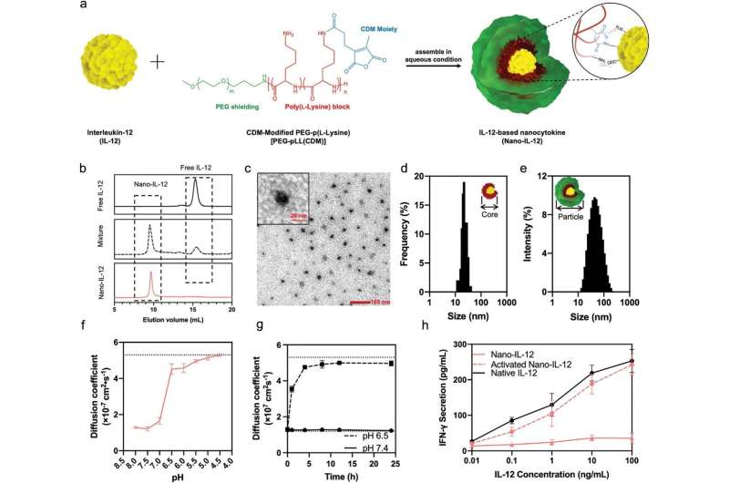 pH-activated nanocytokines based on IL-12 safely overcome cancer resistance to immunotherapy