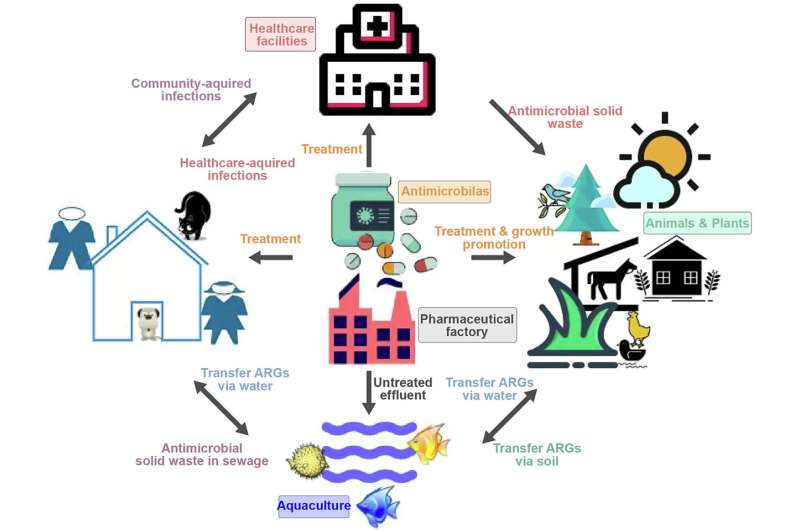 Pharmaceutical effluent evokes superbugs in the environment: A call to action