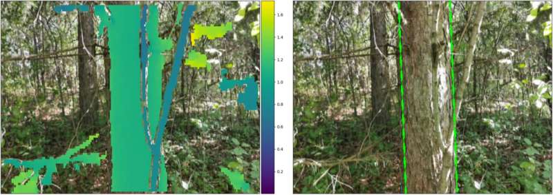 Phone-based measurements provide fast, accurate information about the health of forests
