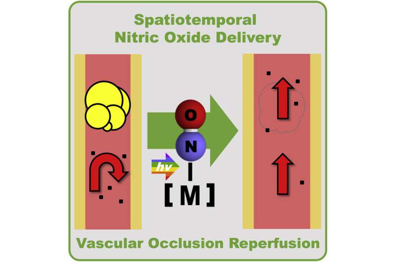 Photodynamic treatment of acute vascular occlusion using iron–nitrosyl complex