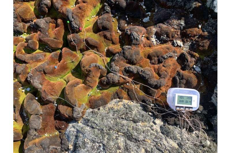 Photos from the field: spying on Antarctic moss using drones, MossCam, smart sensors and AI
