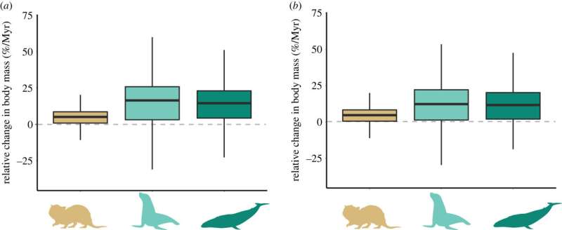 Phylogenetic analysis suggests that fully aquatic mammals are unlikely to evolve back into terrestrial creatures