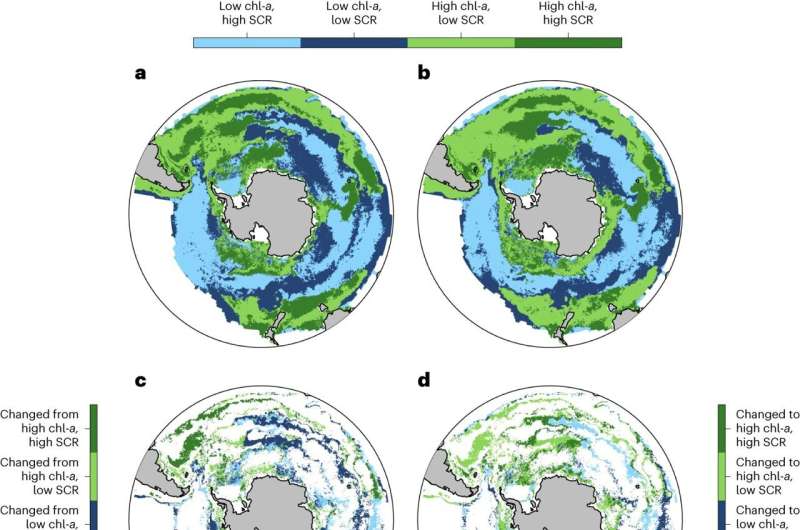 Phytoplankton blooms in the Southern Ocean have initiated later and terminated earlier over past 25 years