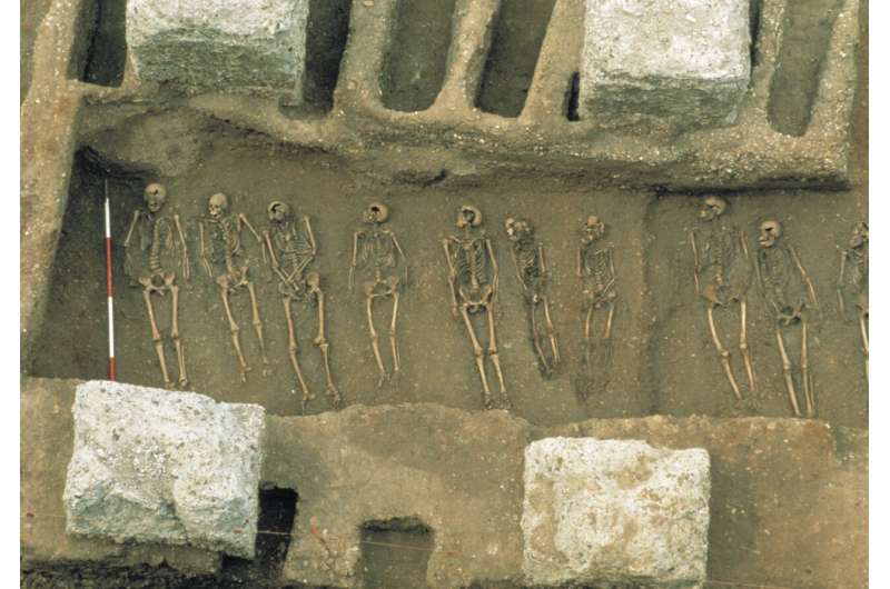 Plague trackers: Researchers cover thousands of years in a quest to understand the elusive origins of the Black Death