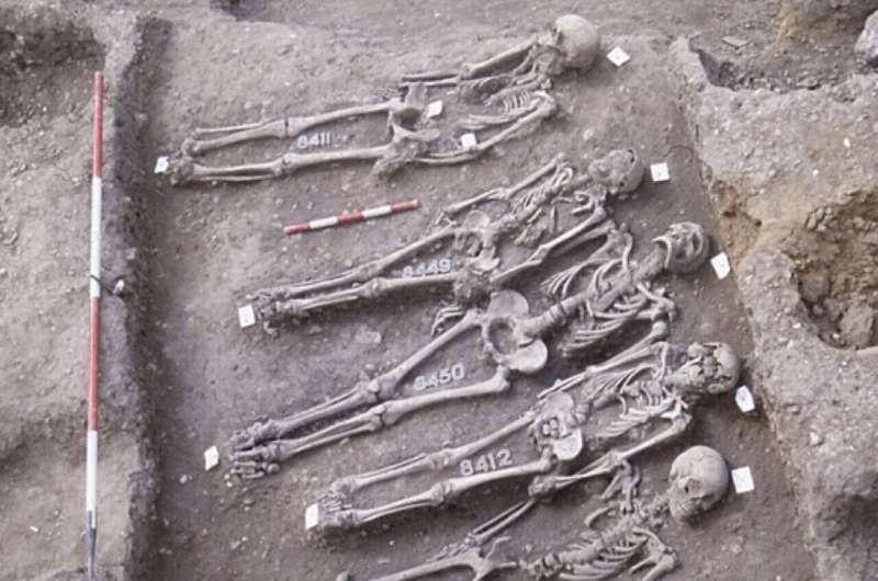 Plague trackers: Researchers cover thousands of years in a quest to understand the elusive origins of the Black Death