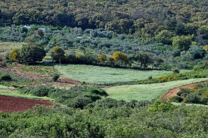 Planet-friendly farming like permaculture is especially useful in Tunisia where an unprecedented drought has parched the country
