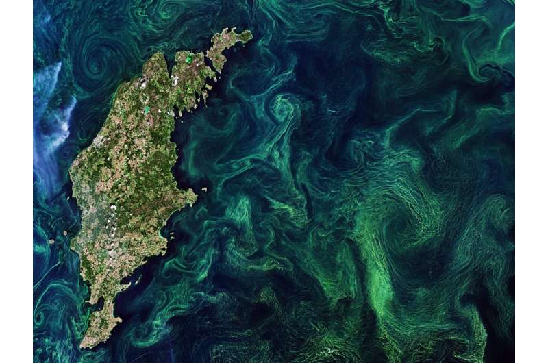 Plankton are central to life on Earth—how is climate change affecting them?