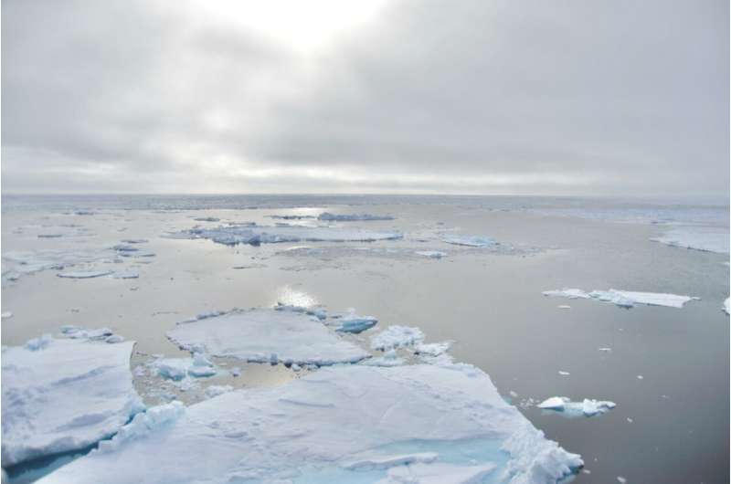 Plankton evidence reveals a seasonally ice-free ocean during the Last Interglacial