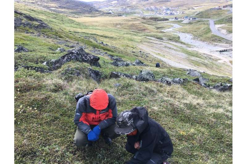 Plant life determines soil bacteria diversity in the Arctic tundra