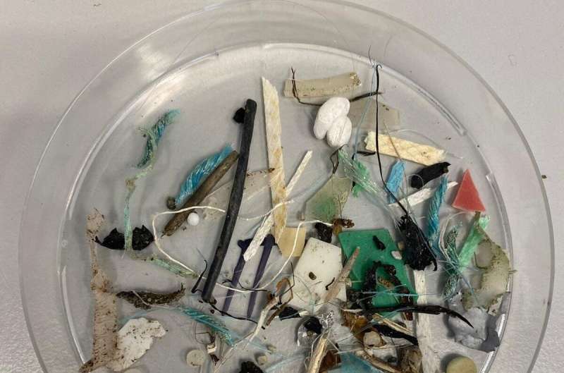 Plastic debris in the Arctic comes from all around the world – including Germany