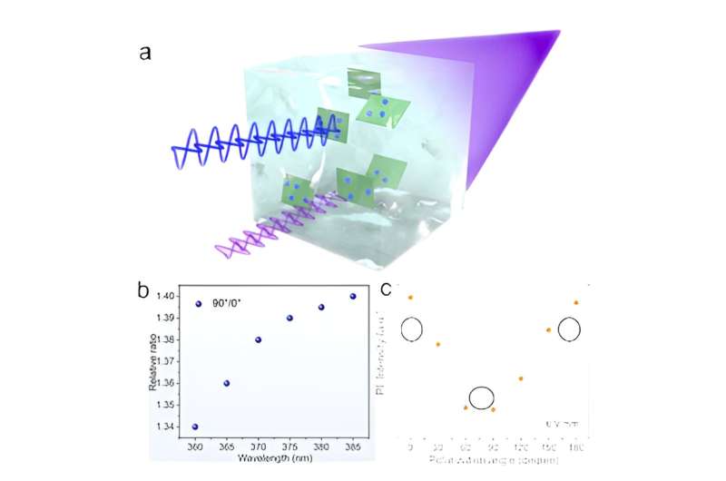 Polarized hetero-structured luminant: The &quot;marriage&quot; of 2D materials and 0D quantum dots