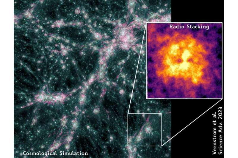 Polarized shockwaves shake the universe's cosmic web