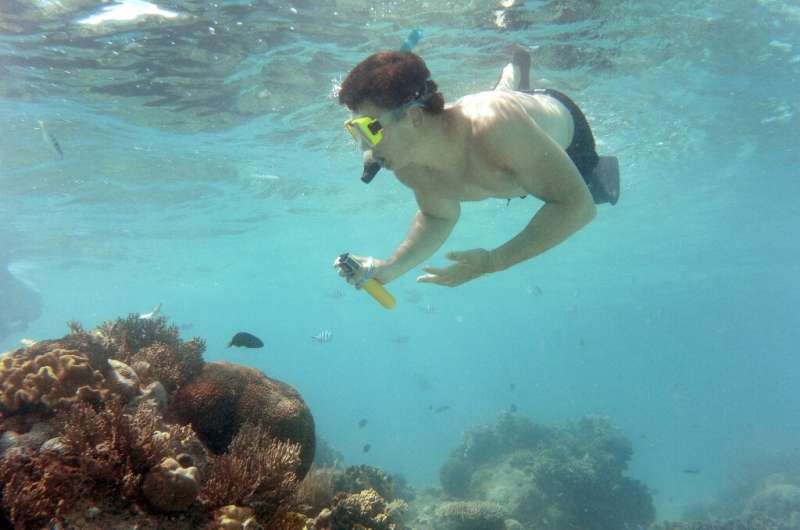 Pollution, fishing, tourism and climate change pose threats to the survival of the Great Barrier Reef, experts say