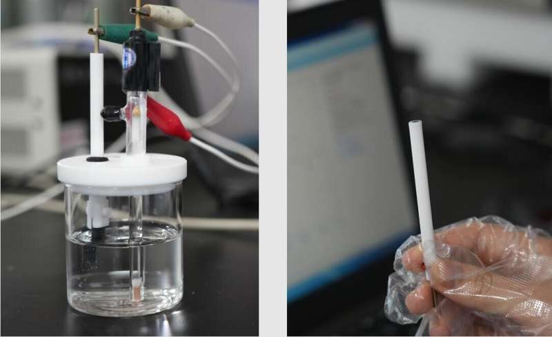 Portable electrochemical sensor designed for lead ion detection