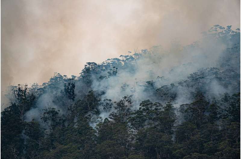 Predicted dry spring to increase bushfire risk over parts of Australia