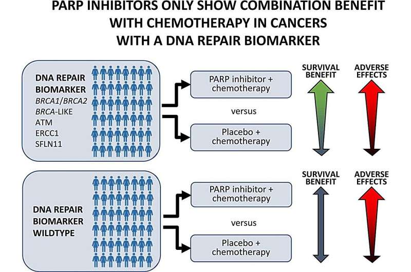 Predicting cancer patient response to drugs that block DNA repair