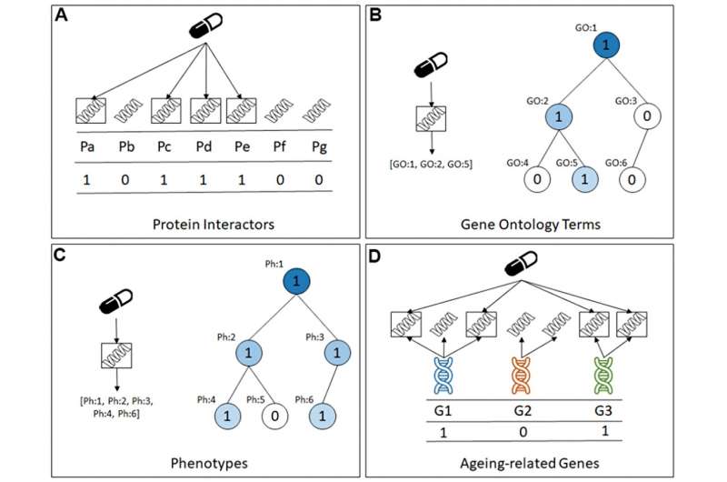 Predicting lifespan-extending chemical compounds for C. elegans with machine learning