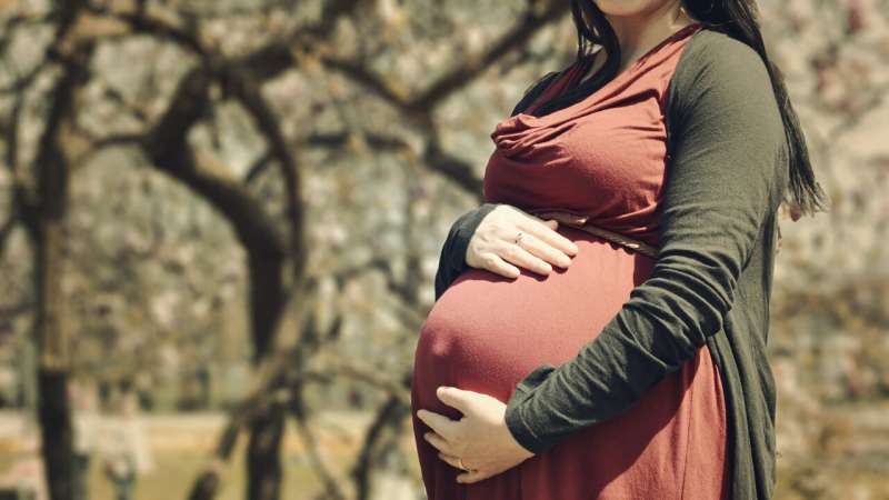 Pregnant women are missing vital nutrients needed for them and their babies—and situation could worsen with plant-based foods