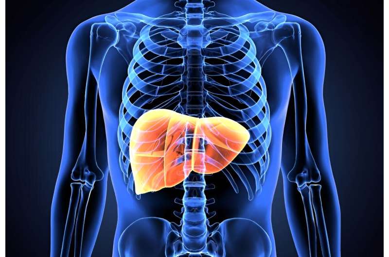 Prevalence of NAFLD set to increase to 34.3 percent in 2050