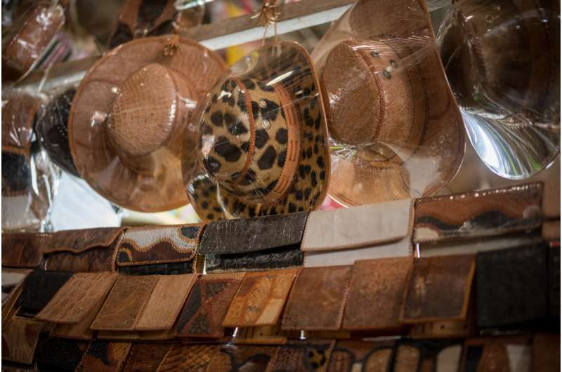 Prisoners 'trading rare jaguar parts for fashion items'