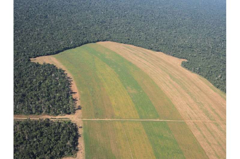 Private lands stalling Brazil's conservation efforts