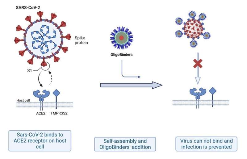 Protein-based nanoparticles designed to neutralise the SARS-CoV2 virus